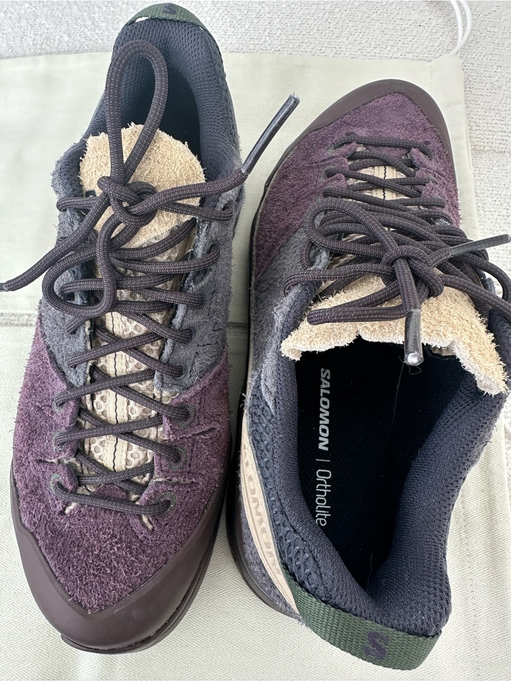 Salomon Trail Sneakers in Plum, Tan and Black